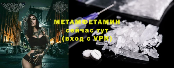 PSILOCYBIN Вяземский
