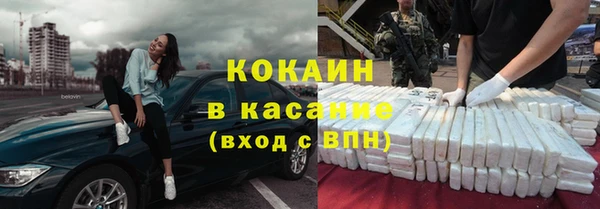 PSILOCYBIN Вяземский