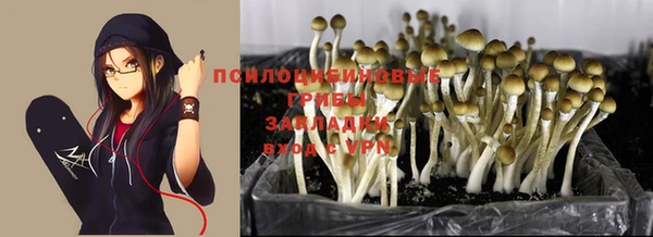 не бодяженный Вязьма