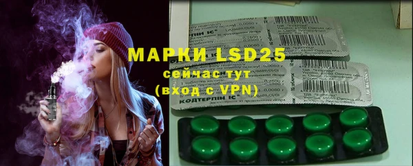 PSILOCYBIN Вяземский