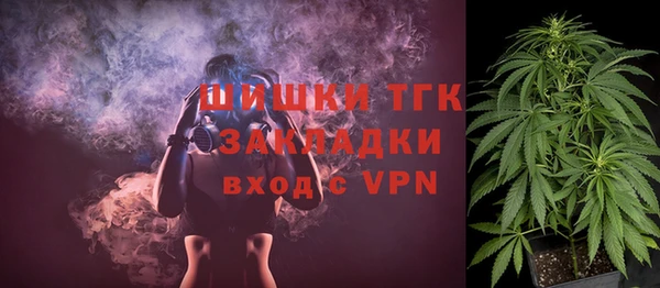 PSILOCYBIN Вяземский