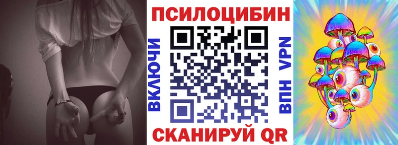 Псилоцибиновые грибы Cubensis  Купить где  Тимашёвск 